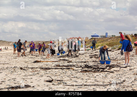 Cape Town, Sud Africa. L'8 dicembre, 2018. Volontari partecipano nel Cestino Bash Beach Cleanup progettato per combattere la costiera di inquinamento in plastica a Cape Town, Sud Africa, 8 dicembre, 2018. Credito: Linda Yee/Xinhua/Alamy Live News Foto Stock