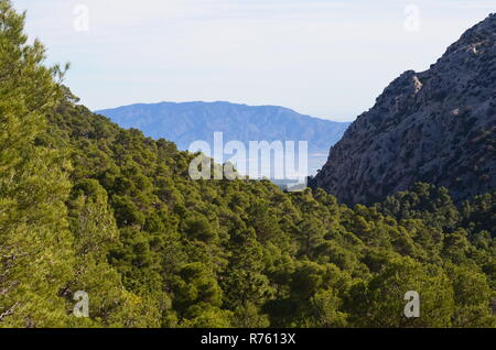 Aleppo e foreste di pini in Sierra Espuña massiccio, con la Sierra de Carrascoy in background, Murcia (Spagna sud-orientale) Foto Stock