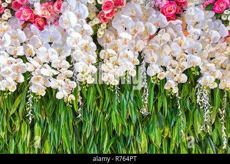 Sfondo romantico per matrimoni Addobbi floreali bello sfondo fiori bouqet di pentecoste di colore rosa e verde foglia / sfondo sfondo di nozze rose e orchidee Foto Stock