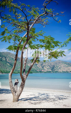 Areia Branca tropicale vista spiaggia nei pressi di Dili a Timor est Foto Stock