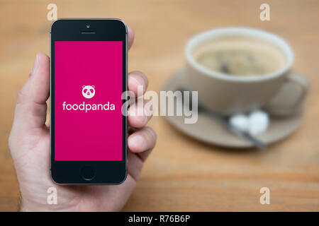 Un uomo guarda al suo iPhone che visualizza il logo Foodpanda (solo uso editoriale). Foto Stock