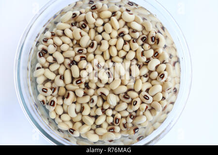 Black Eyed fagioli imbevuto di acqua nel contenitore in vetro Foto Stock