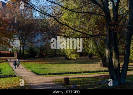 Parco Planten un Blomen Giardino Botanico San Peterburger Straße, Amburgo, nella stagione autunnale, Germania, Europa Foto Stock