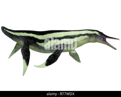 Dolichorhynchops Plesiosaur su bianco Foto Stock