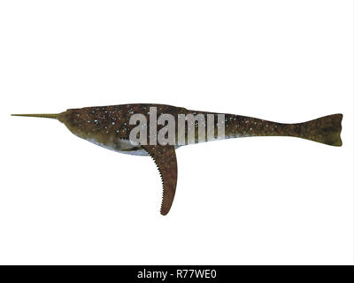 Pesce Doryaspis su bianco Foto Stock