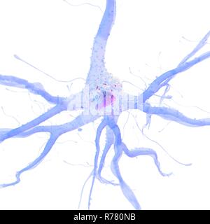 3d reso illustrazione di una cellula nervosa. Foto Stock