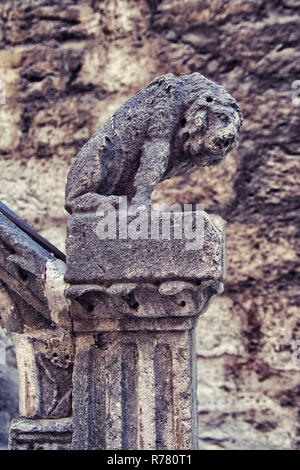 Leone di pietra statua vicino a Sibenik cattedrale. Croazia Foto Stock