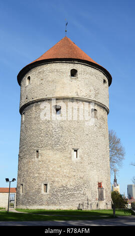 Kiek in de Kok torre di artiglieria a Tallinn in Estonia Foto Stock