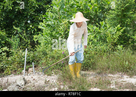 Il vecchio contadino in Asia terra di pulizia. Foto Stock