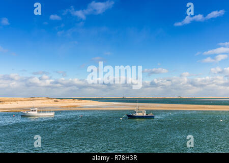 Germogli di pesca in Porto Cape Code d'inverno. Stati Uniti d'America Foto Stock