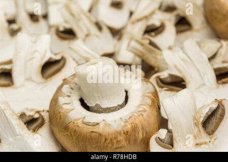 Close-up di commestibili funghi marrone. Foto Stock