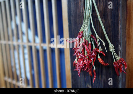 Peperoncino appeso peperoncino rosso sulla parete di legno della casa rurale in autunno, essiccazione al sole in Narai juku, Giappone Foto Stock