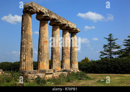 Metaponto, tempio dorico di Hera, Tavole Palatine, Basilicata, Italia Foto Stock