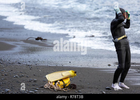 Ama sub in piedi su una spiaggia di ciottoli, la preparazione per le immersioni, Mie, Giappone Foto Stock