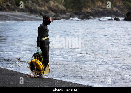 Ama sub in piedi su una spiaggia di ciottoli, la preparazione per le immersioni, Mie, Giappone Foto Stock