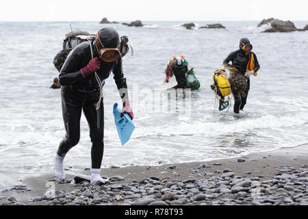 Ama i subacquei di ritorno da ocean, portando il loro quotidiano prendere sulle loro spalle, Mie, Giappone Foto Stock
