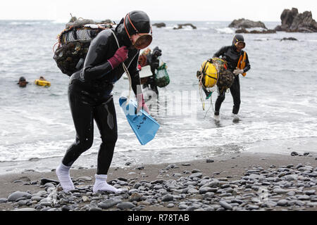 Ama i subacquei di ritorno da ocean, portando il loro quotidiano prendere sulle loro spalle, Mie, Giappone Foto Stock
