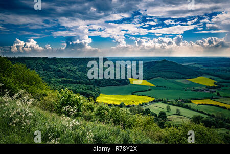 Cumulonimbus bubble up sopra la valle di York da Sutton Bank Foto Stock