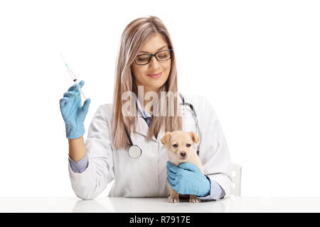 Veterinario femmina tenendo una iniezione per un piccolo cucciolo isolato su sfondo bianco Foto Stock