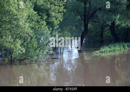 Struttura allagata paesaggio con acqua marrone in campagna in primavera al giorno Foto Stock