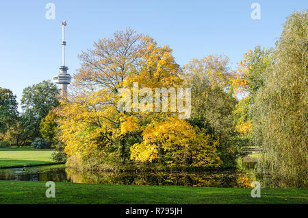 Vista sul parco di Rotterdam in una giornata di sole in autunno con un laghetto, alberi, lawmns e nella città di sfondo icona la Euromast Foto Stock