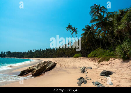 Sri Lanka, Tangalle, 02/08/2014: il paradiso deserto beach con il Palm grove in background Foto Stock