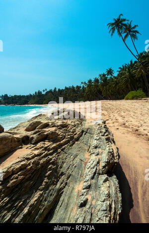 Sri Lanka, Tangalle, 02/08/2014: il paradiso deserto beach con il Palm grove in background Foto Stock