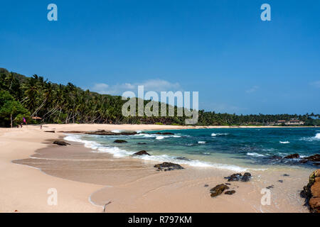 Sri Lanka, Tangalle, 02/08/2014: il paradiso deserto beach con il Palm grove in background Foto Stock