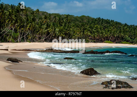 Sri Lanka, Tangalle, 02/08/2014: il paradiso deserto beach con il Palm grove in background Foto Stock