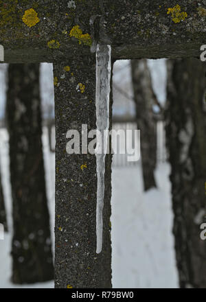 Congelati cristallo di ghiaccio pendenti da recinzione Foto Stock