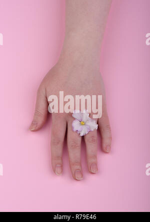 Mano con fiore viole su uno sfondo di colore rosa. Cura della Pelle concept Foto Stock