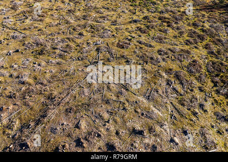 La deforestazione foto aerea. Drone shot della foresta distrutta in Romania. Il riscaldamento globale concetto Foto Stock