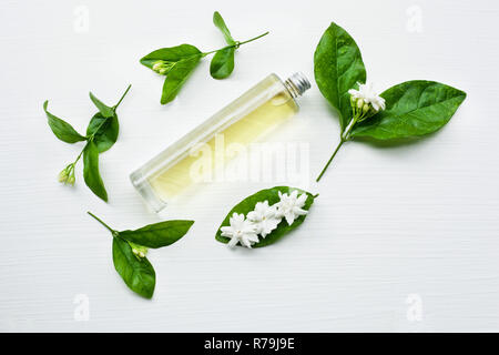 Olio essenziale di fiori di gelsomino su sfondo bianco. Foto Stock