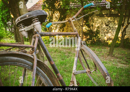 Rusty vecchia bicicletta in piedi accanto a la struttura ad albero nel giardino di casa Foto Stock