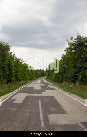 Autostrada vuota riparato con superfici in asfalto attraverso arbusti avenue nel cielo nuvoloso inizio estate al giorno Foto Stock