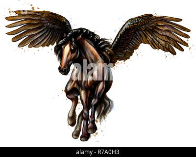 Pegaso mitico cavallo alato da schizzi di acquerelli. Mano bozzetto Illustrazione Vettoriale