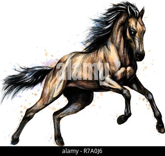 Eseguire cavallo galoppo da schizzi di acquerelli. Mano bozzetto Illustrazione Vettoriale