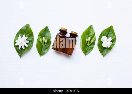 Olio essenziale di fiori di gelsomino su sfondo bianco. Foto Stock