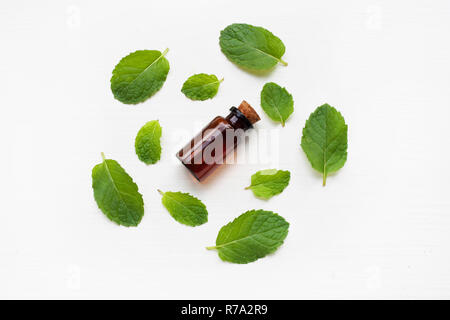 Olio Essentail con foglie di menta fresca. Foto Stock