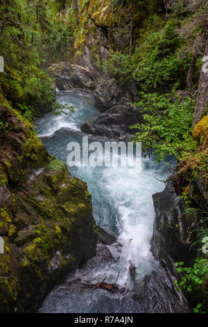 Vincitore creek flusso di fiume dopo la pioggia, Alaska Foto Stock