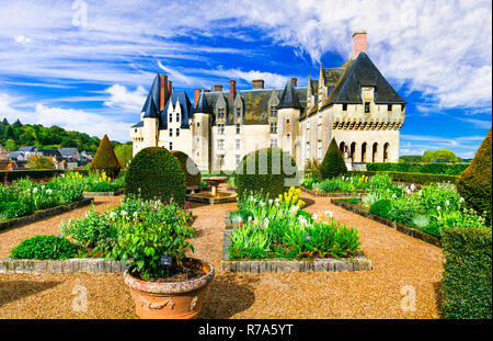 Bella Langeais castello medievale,della Valle della Loira, Francia. Foto Stock