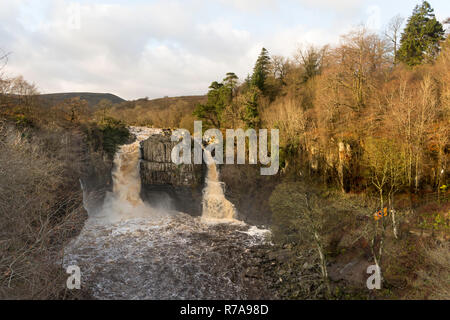 Forza elevata in cascata, Fiume Tees, Co. Durham, England, Regno Unito Foto Stock