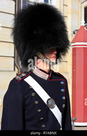 Un Royal Life Guard per la monarchia danese con un berretto in pelliccia di orso sul dovere di fronte al suo garitta all'esterno il palazzo di Amalienborg a Copenhagen, Danimarca Foto Stock