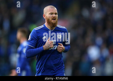 Cardiff, Regno Unito. 8 Dic 2018. Aron Gunnarsson di Cardiff City guarda a. Premier League, Cardiff City v Southampton al Cardiff City Stadium sabato 8 dicembre 2018. Questa immagine può essere utilizzata solo per scopi editoriali. Solo uso editoriale, è richiesta una licenza per uso commerciale. Nessun uso in scommesse, giochi o un singolo giocatore/club/league pubblicazioni. pic da Andrew Orchard/Andrew Orchard fotografia sportiva/Alamy Live news Foto Stock