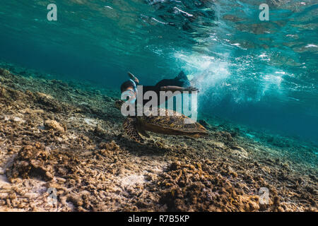 Freediver uomo con tartaruga embricata, fotografia subacquea. Foto Stock