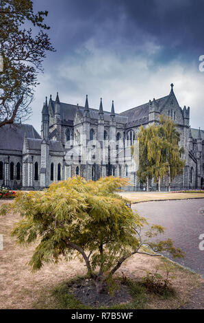 Medievale la cattedrale gotica di San Patrizio a Dublino con un po' di acero in primo piano, Irlanda Foto Stock