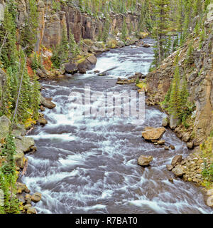 Cascate in un canyon del fiume di lewis nel parco nazionale di Yellowstone, wyoming Foto Stock