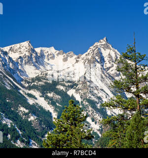 Trapper picco nella Bitterroot Mountains vicino conner, montana Foto Stock