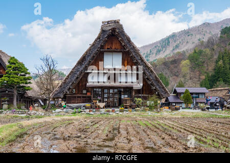 La famosa tradizionale Gassho-zukuri agriturismi a Shirakawa-go village, Giappone. Foto Stock