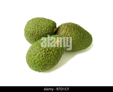 Chiuso fino a tre di verde accidentato Hass Avocado frutti interi isolati su sfondo bianco Foto Stock